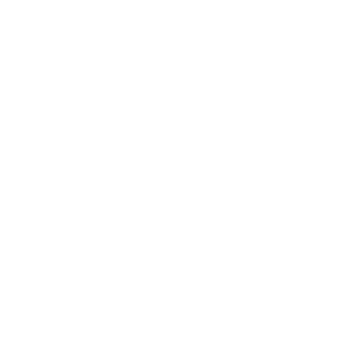 TLI Logo tranparent white